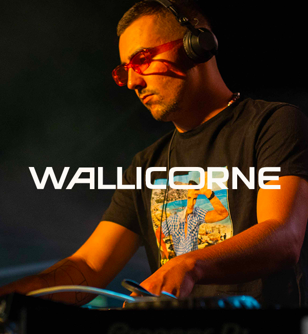 wallicorne