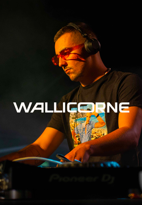 wallicorne